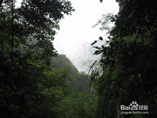 在施秉雲臺山，你能看到什麼