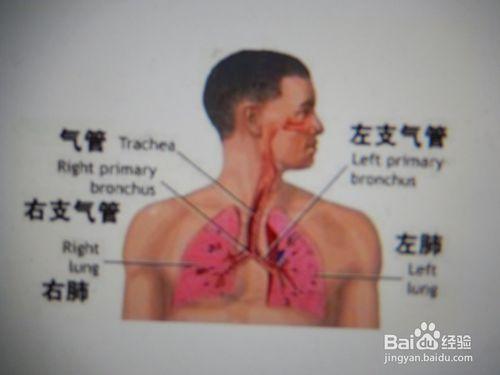 怎麼防止霧霾天對人的傷害？