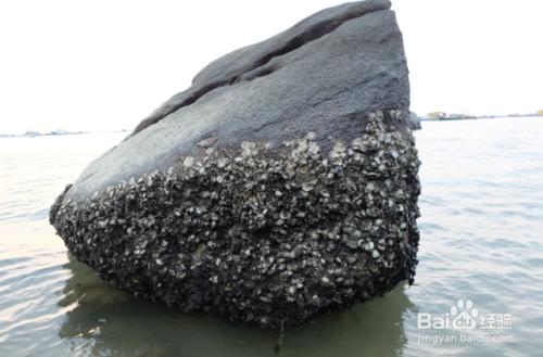 尋找海邊的刺激一定不能錯過海陵島