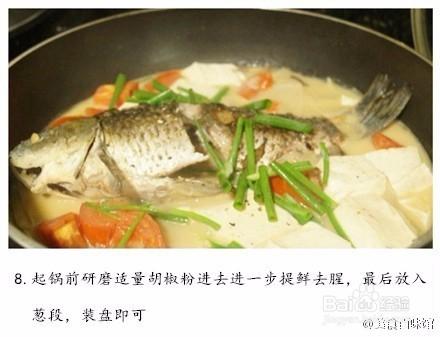 美味的番茄豆腐鯽魚湯