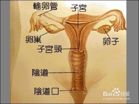 宮外孕是怎麼形成的原因