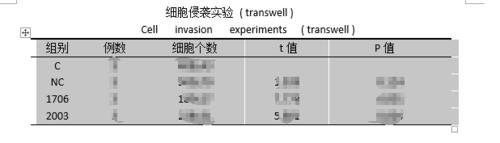 如何結合excel及word製作三線表