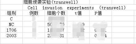 如何結合excel及word製作三線表