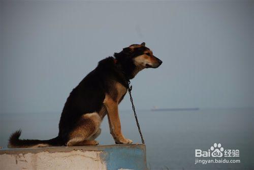 海上仙島—靈山島旅遊攻略