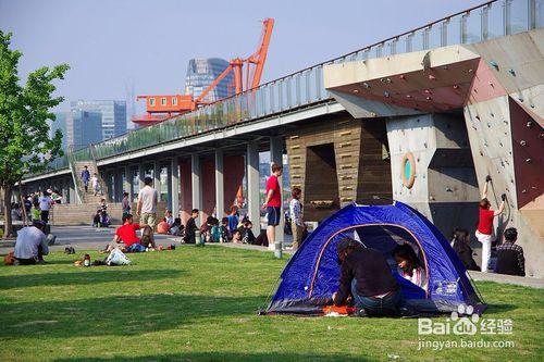 上海有哪些遛狗好去處--徐匯濱江