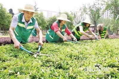 如何做一名好員工