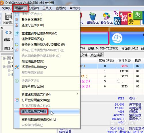 驗證DiskGenius是否為真專業版的方法