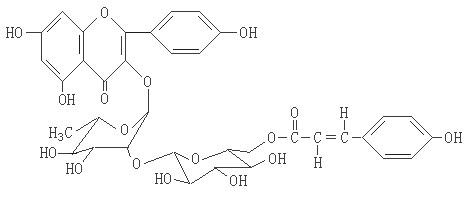 竹葉泡水養生功效：竹葉泡水功效及竹葉泡水禁忌