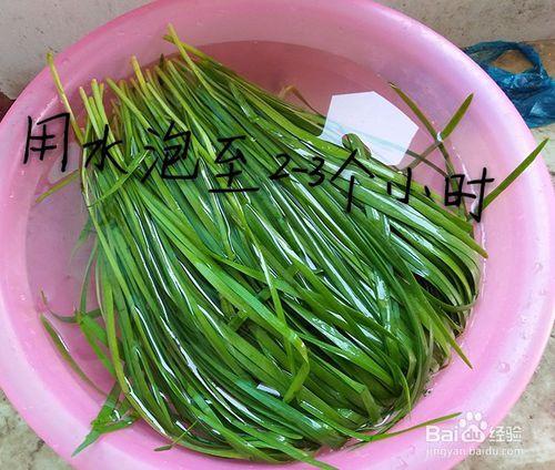 怎麼調的韭菜餡；餃子才會好吃