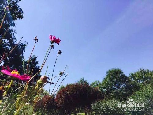 中國山東泰安泰山旅遊攻略