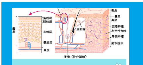 什麼方法可以消除青春痘