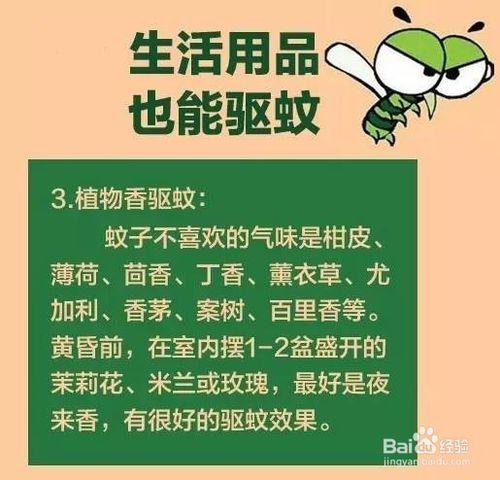 如何在不傷害身體的情況下健康有效的驅蚊？