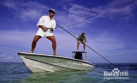 釣海魚技巧——釣點選擇第1篇
