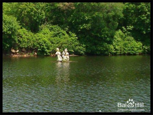 伊春旅遊攻略之桃山國家森林公園