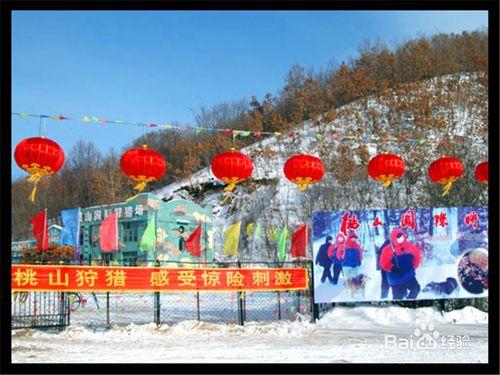 伊春旅遊攻略之桃山國家森林公園