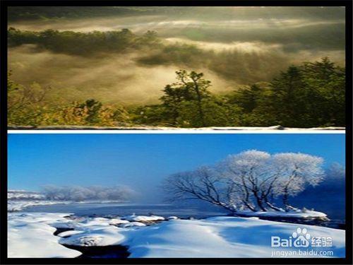 伊春旅遊攻略之桃山國家森林公園