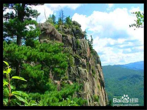 伊春旅遊攻略之桃山國家森林公園