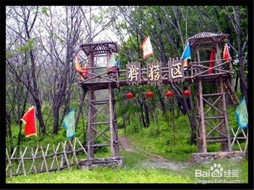 伊春旅遊攻略之桃山國家森林公園