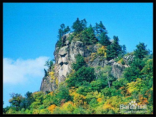 伊春旅遊攻略之桃山國家森林公園