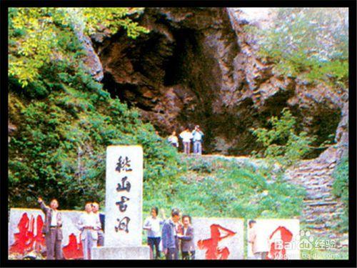 伊春旅遊攻略之桃山國家森林公園