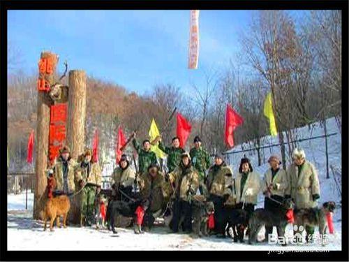 伊春旅遊攻略之桃山國家森林公園