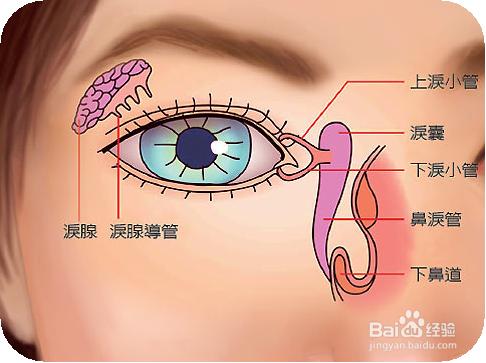 為什麼帶美瞳眼睛會癢