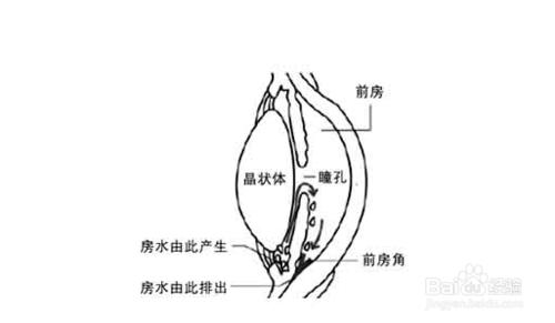 為什麼帶美瞳眼睛會癢