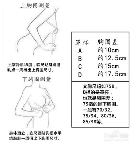 如何正確測量自己內衣的尺碼！