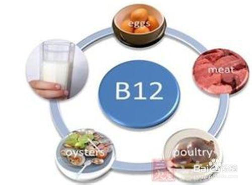 我們到底需不需要補維生素B12？