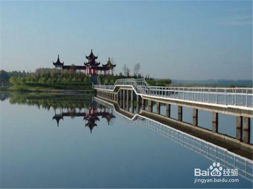 黑河旅遊攻略之嫩江高峰森林公園