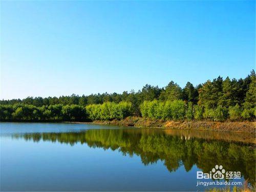 黑河旅遊攻略之嫩江高峰森林公園