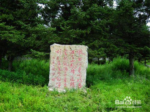 黑河旅遊攻略之嫩江高峰森林公園