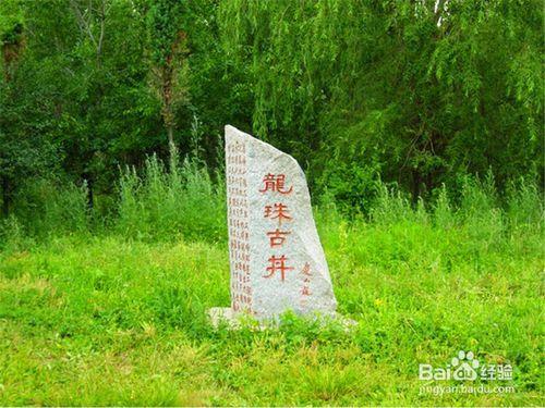 黑河旅遊攻略之嫩江高峰森林公園