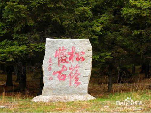 黑河旅遊攻略之嫩江高峰森林公園