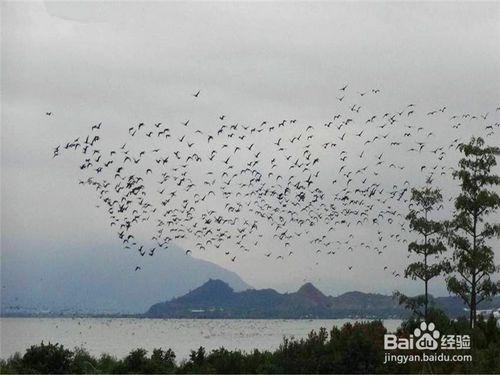 黑河旅遊攻略之嫩江高峰森林公園