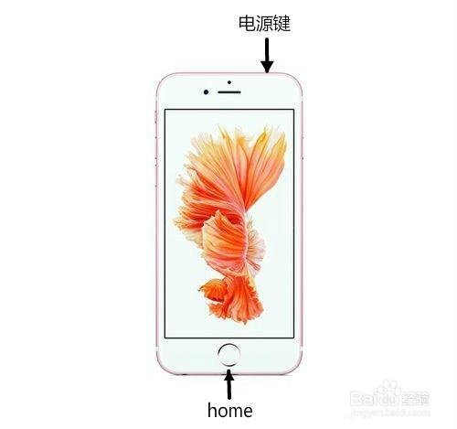 如何用iphone獲得網上的圖片