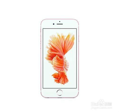 如何用iphone獲得網上的圖片