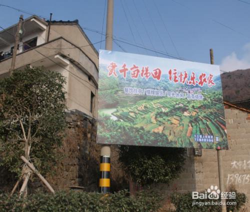 嵊州市覆卮山度假一日遊