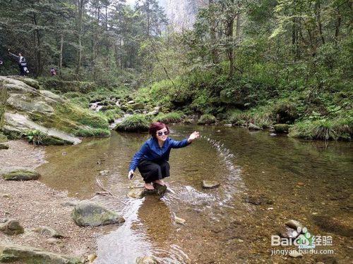 完美-旅行-美麗張家界我的旅行我做主