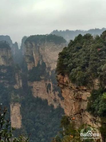 完美-旅行-美麗張家界我的旅行我做主