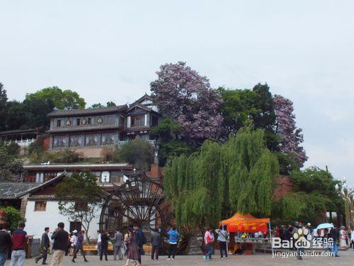 雲南跟團遊需要注意什麼