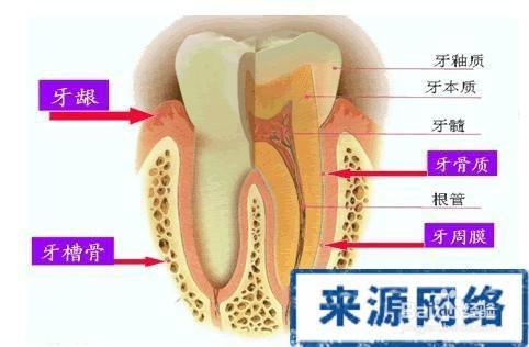 拔牙後 多久可以吃飯 聽語音