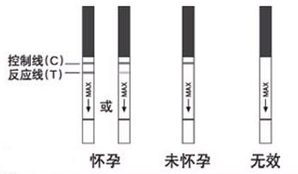 排卵試紙什麼時候用 聽語音