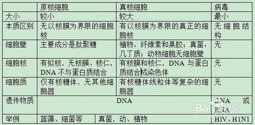 細胞的多樣性和統一性