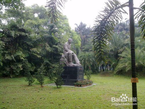 華南植物園一日遊