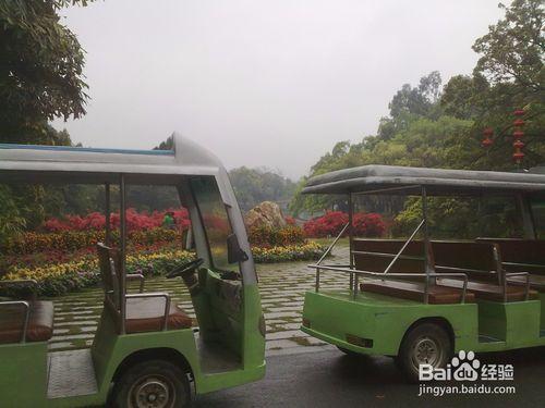 華南植物園一日遊