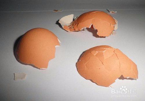 怎麼利用廢舊蛋殼