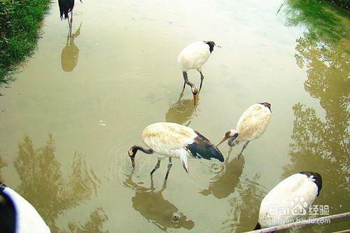 星湖溼地公園