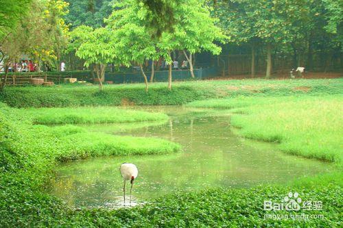 星湖溼地公園