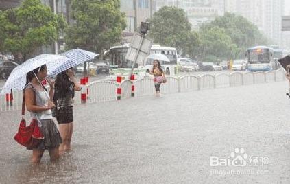 暴雨來臨時,我們要怎麼辦?